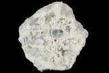 2.5" Aquamarine and Quartz in Albite Crystal Matrix - Pakistan - #111349-1